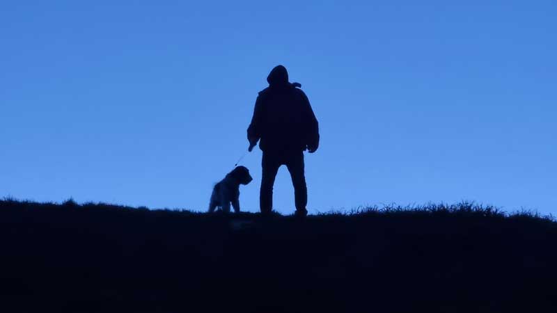 Dog with man in silhouette